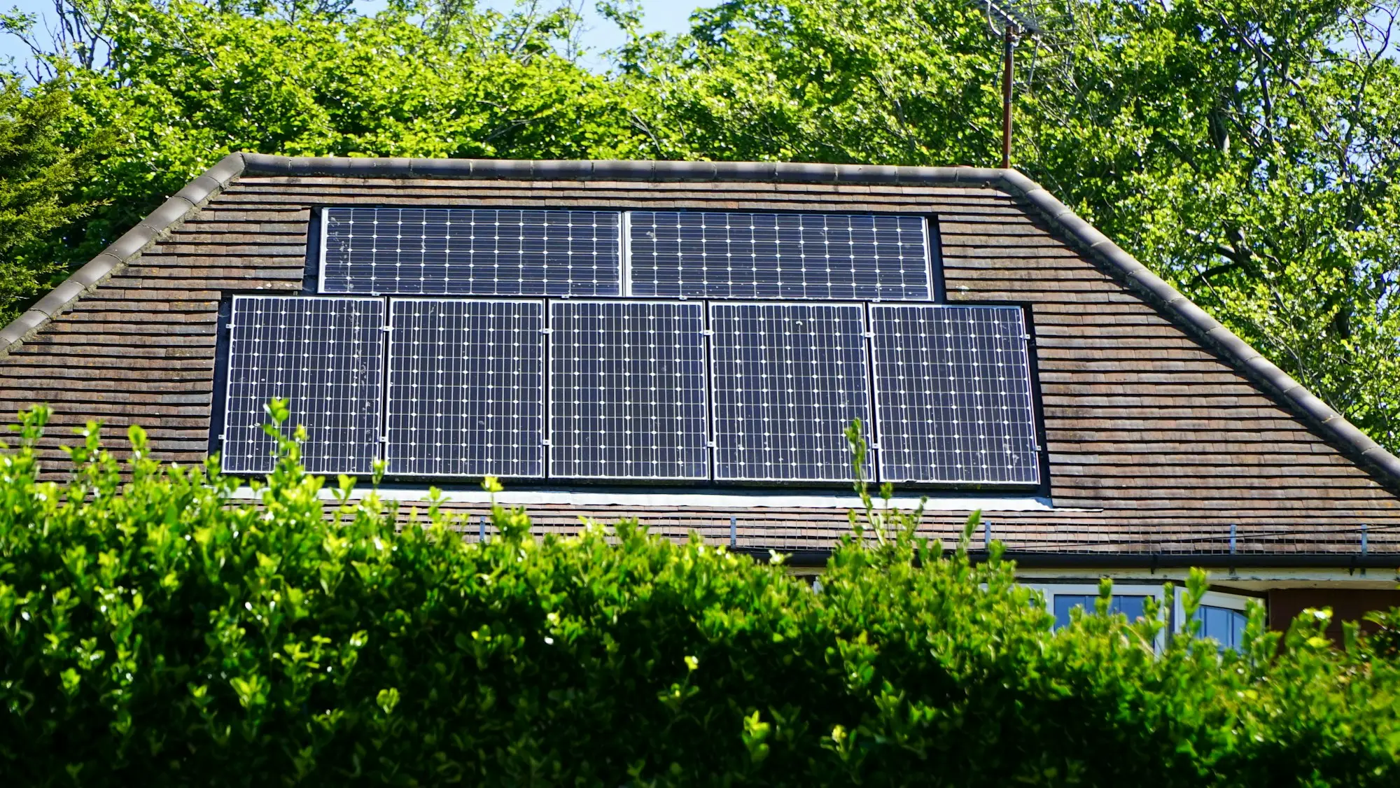 Tiled house roof with solar panels behind a green hedge on a sunny day